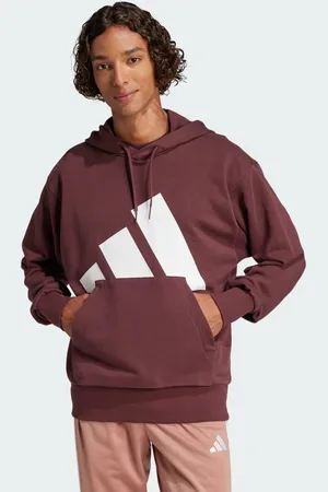 adidas Moletinho Capuz Essentials Big Logo Homem
