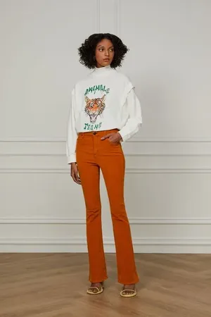 Animale Calça Boot Basic De Sarja e Veludo Caramelo Golden