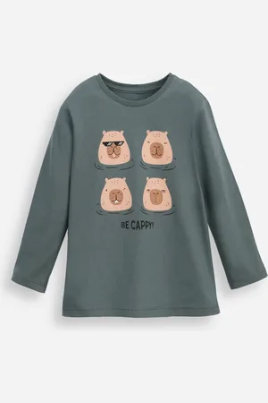 C&A Blusa de algodão infantil manga longa capivara verde