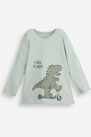 C&A Camiseta infantil de algodão manga longa t rex verde