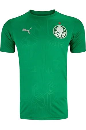 PUMA Camisa do Palmeiras 25 Masculina Treino