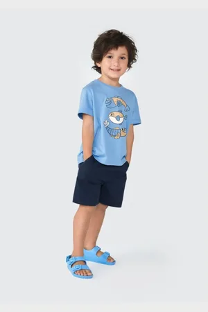 Hering Camiseta Infantil Menino Toddler Com Estampa