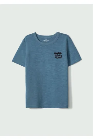 Hering Camiseta Infantil Menino Estampada Flamê