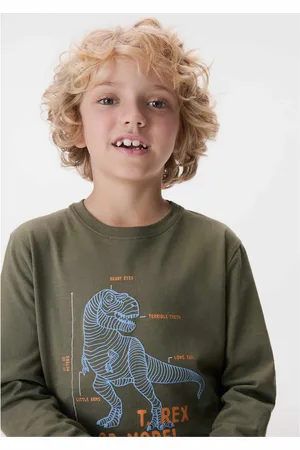Hering Camiseta Infantil Menino Manga Longa Com Estampa