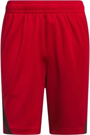 adidas Shorts de basquete Legends Três Listras