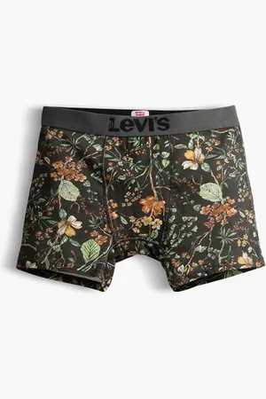 Levi