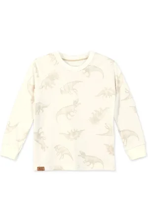 Marisol Infantil - Camiseta Manga Longa Dino Masculina