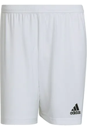 adidas Shorts Entrada 22