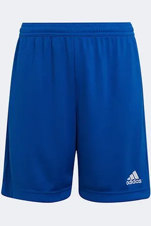 adidas Calção Infantil Entrada 22