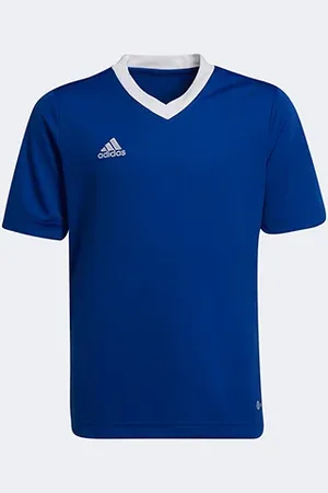adidas Camisa Infantil Entrada 22