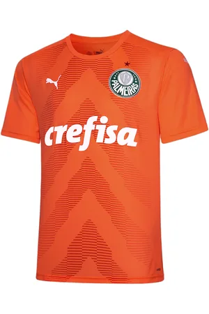 PUMA Camisa Palmeiras Goleiro Third 2022 Masculina – Cor