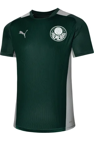 PUMA Camisa De Treino Palmeiras 2022 Masculina – Cor