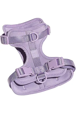WILD ONE RIEMEN MEDIUM HARNESS in .